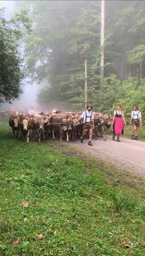 Ferienwohnung Am Dorfbach Rettenberg